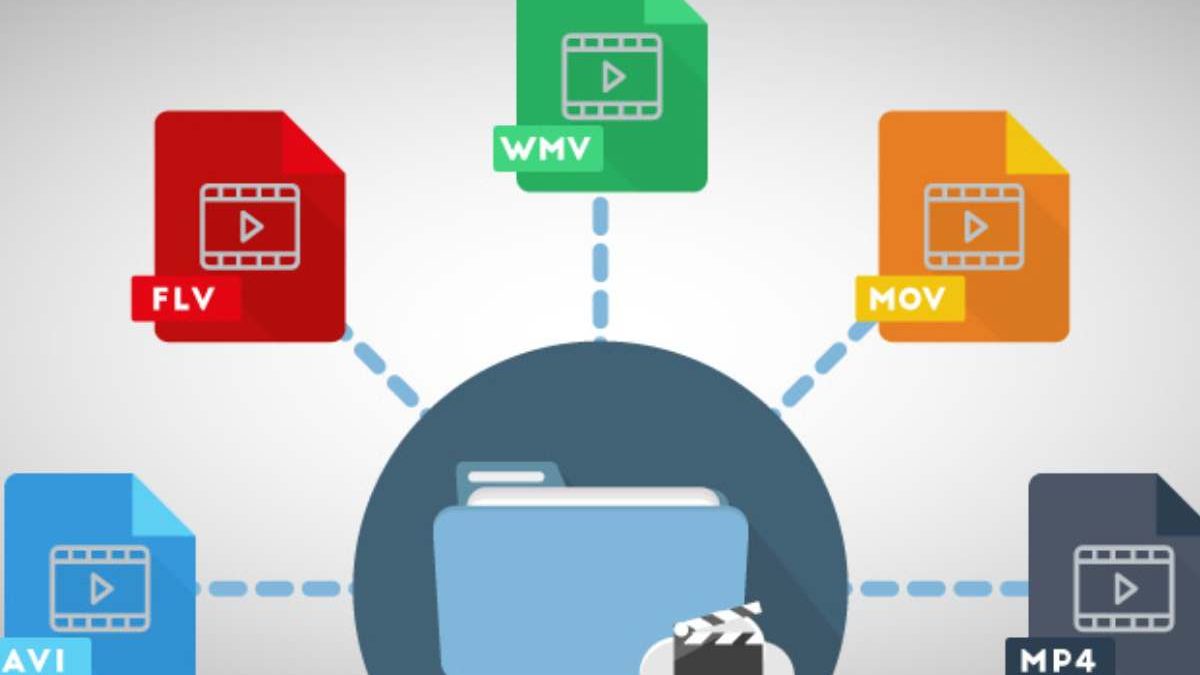 What is Video File Format – Types and More