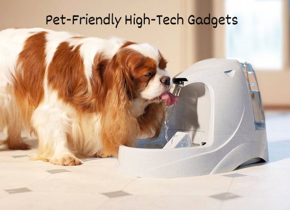 Pet-Friendly High-Tech Gadgets