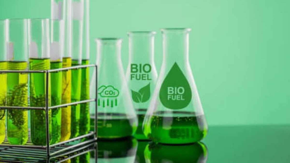 Biotechnology –  Types, Advantages, and Disadvantages