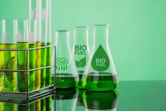 Biotechnology – Types, Advantages, and Disadvantages