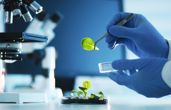 Agricultural Biotechnology Used