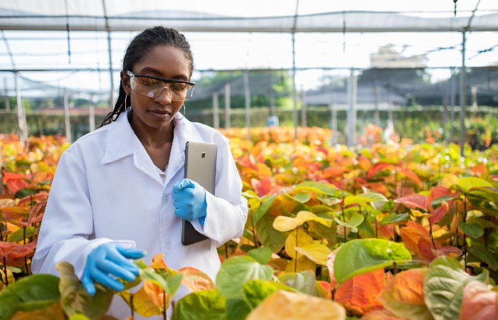 Agricultural Biotechnology