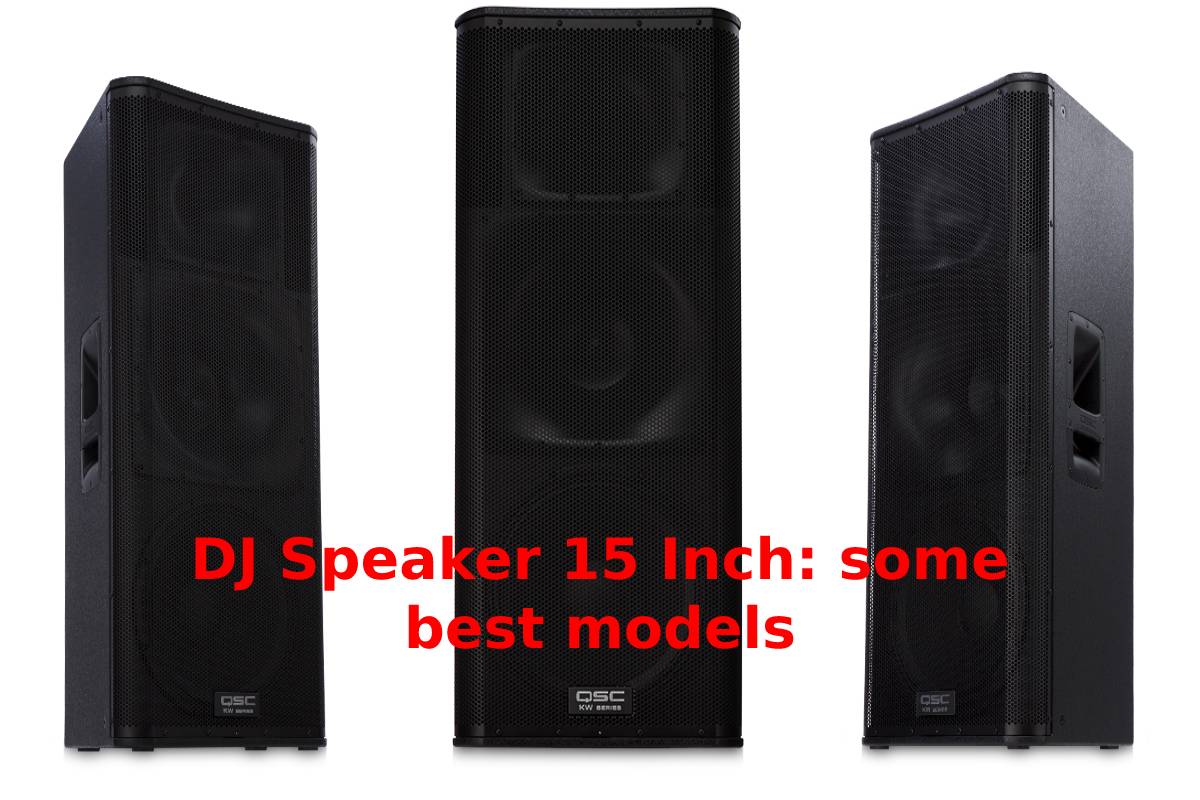 MAX SP15 DJ Speaker 15" 1000W Full Range Woofer Bedroom DJ Mobile Disco Party 