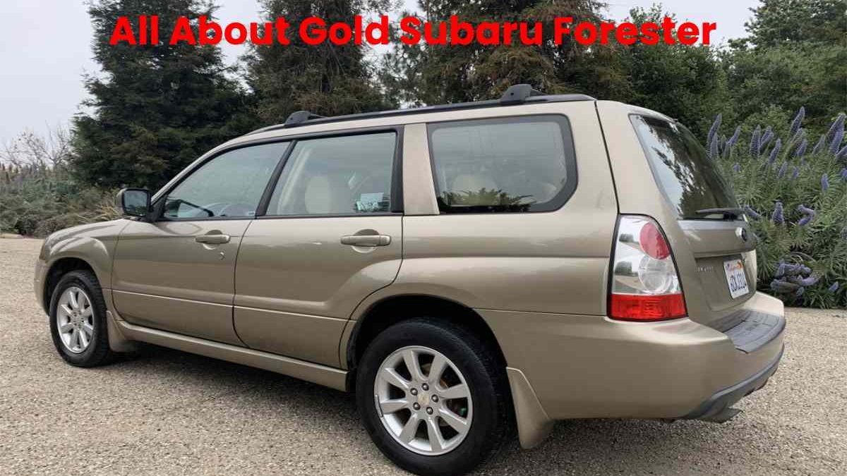 All About Gold Subaru Forester