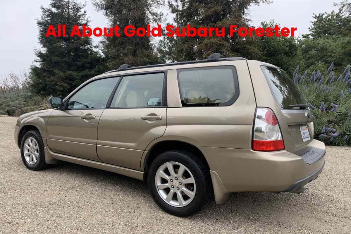All About Gold Subaru Forester