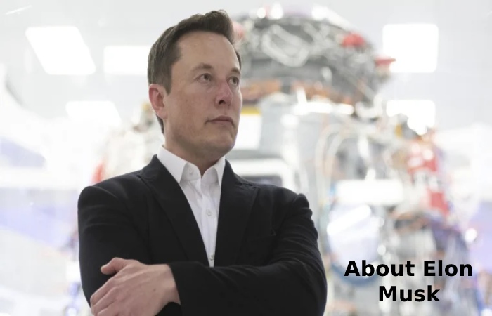 About Elon Musk