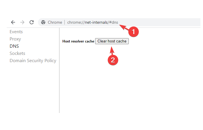 How to Use Chrome___net-internals_#dns 3__