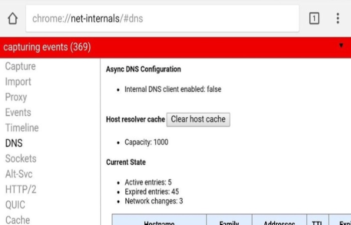 What is Chrome___net-internals_#dns 3__