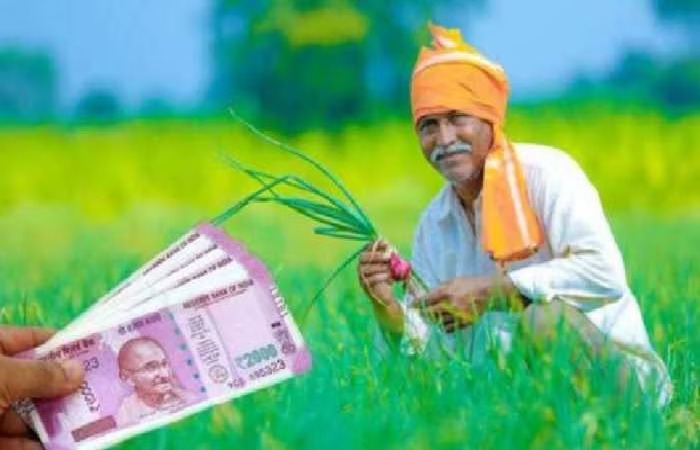 pm kisan.gov.in (1)