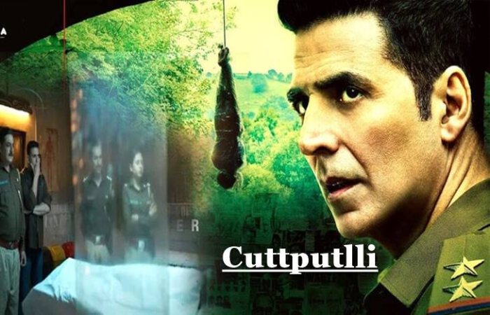 PLOT of Cuttputli Without Spoilers