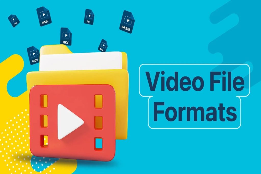 What is Video File Format – Types and More
