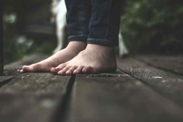 Barefoot student reviews Company Profile