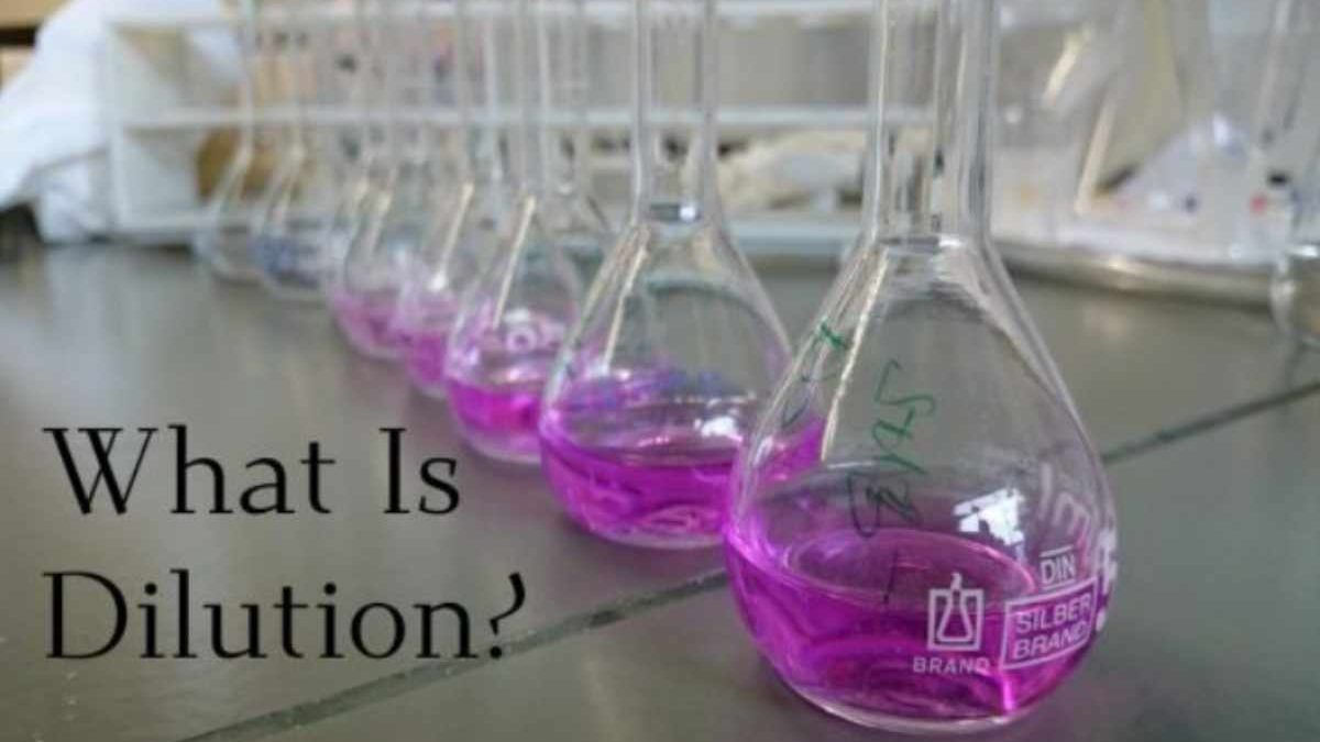 What is Dilution? – What Does it Contain?