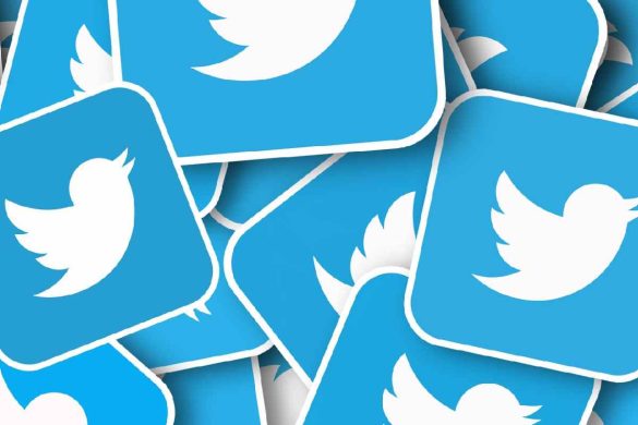 Twitter alt marchlyons theverge