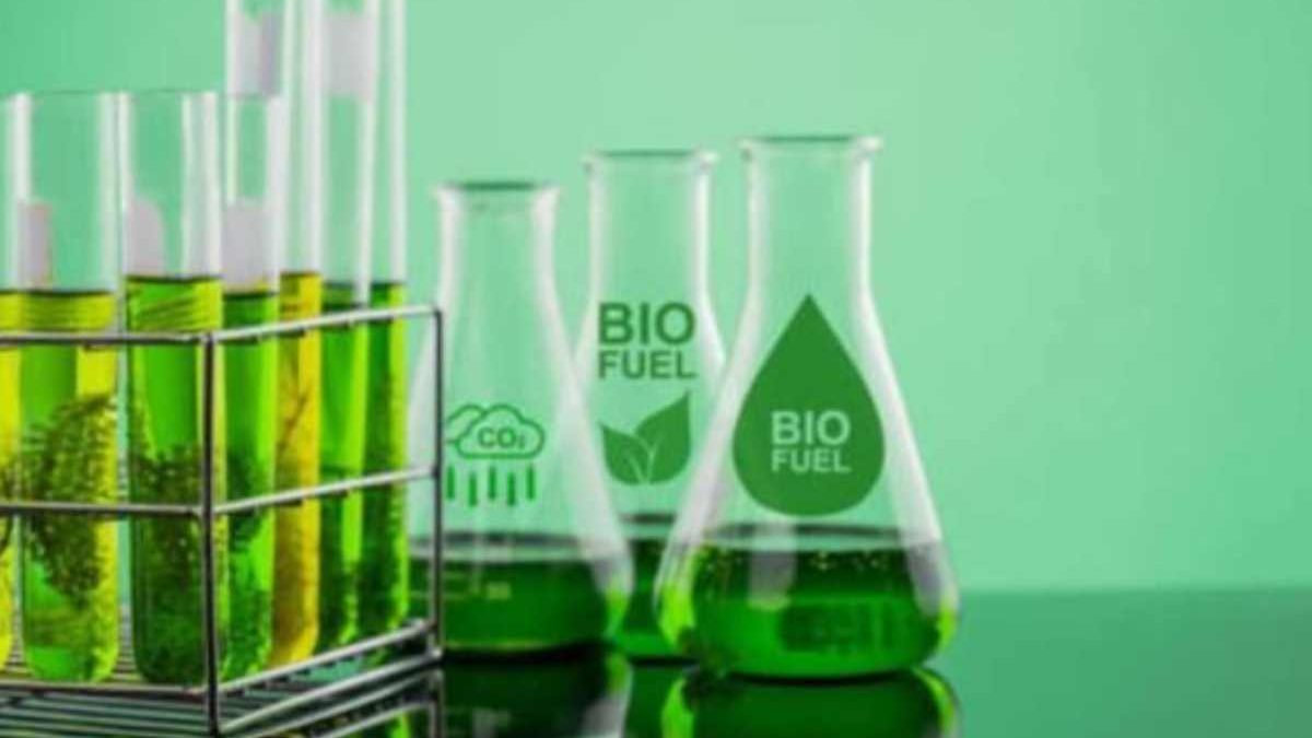 Biotechnology –  Types, Advantages, and Disadvantages